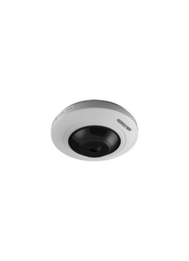 DS-2CD2955FWD-I(1.05mm)